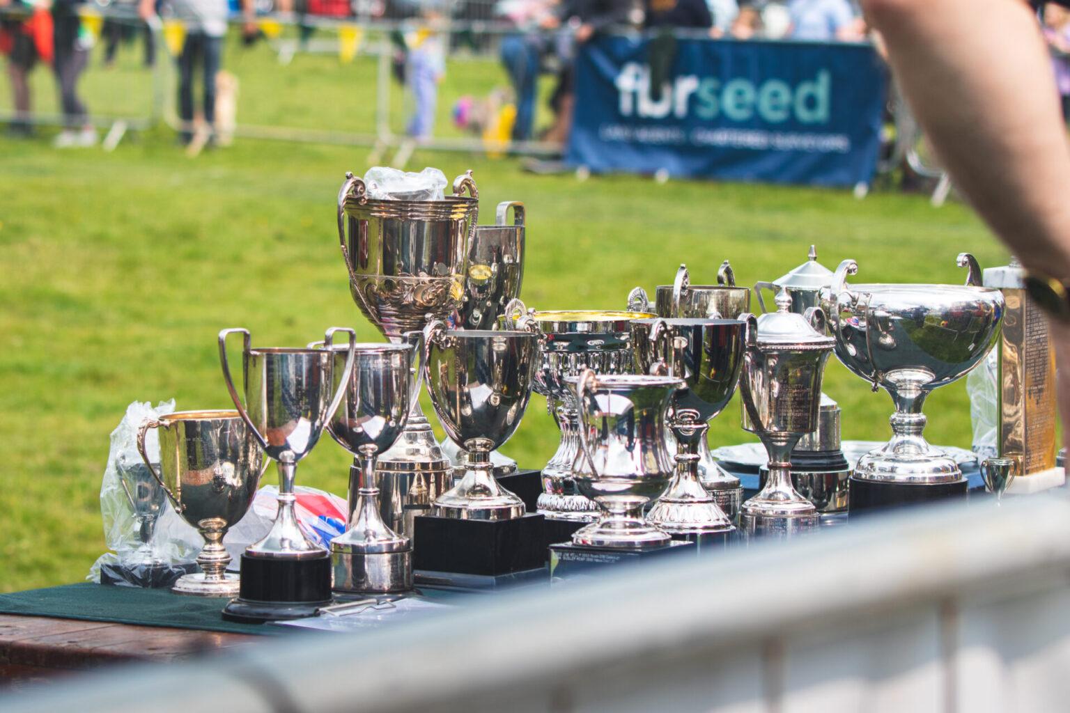 Parade Ring Activity (9)